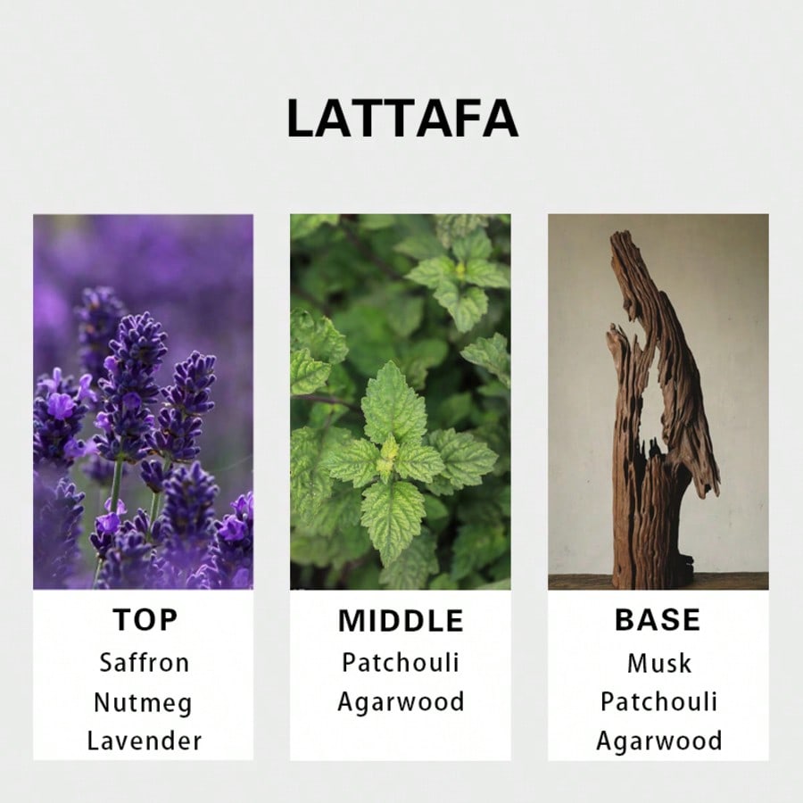 Lattafa Badee Al Oud For Glory - Perfume Fragrances บทวิจารณ์และราคา